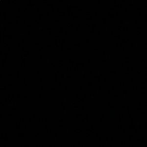 Meet your Posher, Zoe